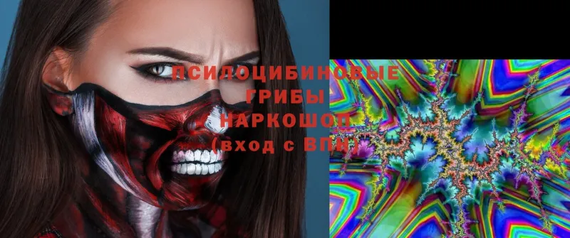 Галлюциногенные грибы мухоморы  omg ссылки  Цоци-Юрт 